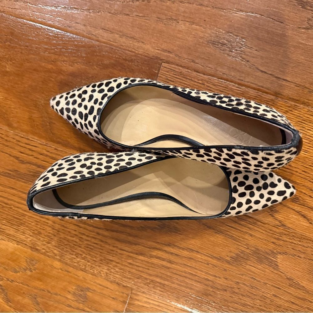 Leopard Print Women's Ann Taylor size 5 kitten heels